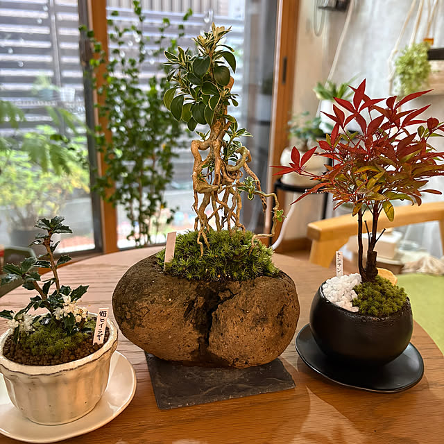 CoffeeHouseさんの実例写真