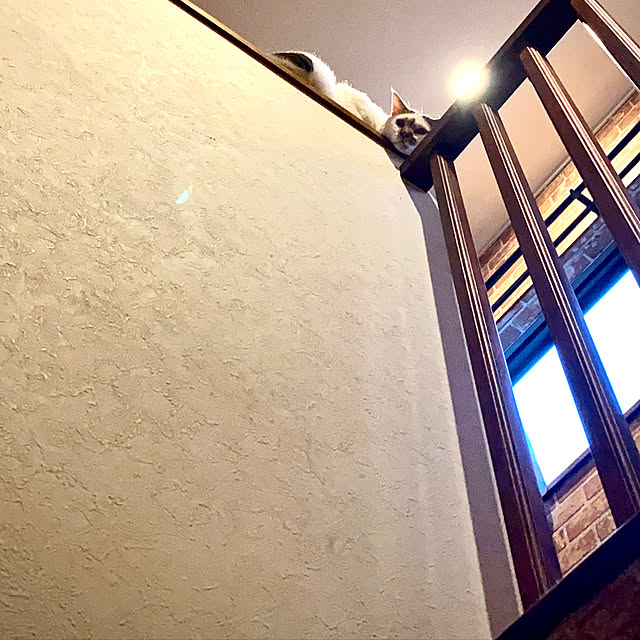 butachanさんの実例写真