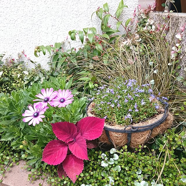 yunohaさんの実例写真