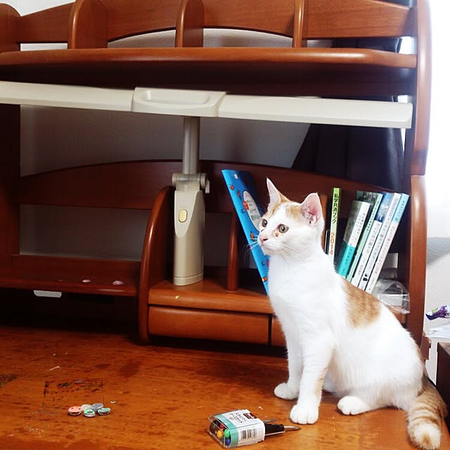 minkokoさんの実例写真