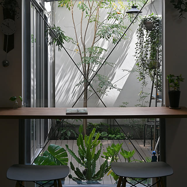 リビング/観葉植物のある暮らし/カフェ風/アウトドア用品/ナチュラル...などのインテリア実例 - 2021-04-29 23:53:40