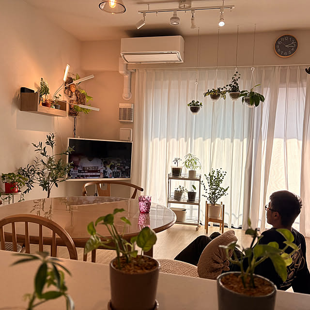 motammmさんの実例写真