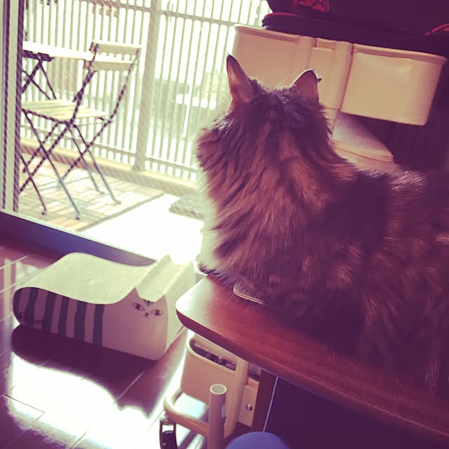 Ryokoさんの実例写真