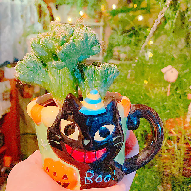 Hanakaさんの部屋