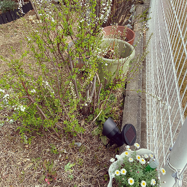 applepieさんの部屋