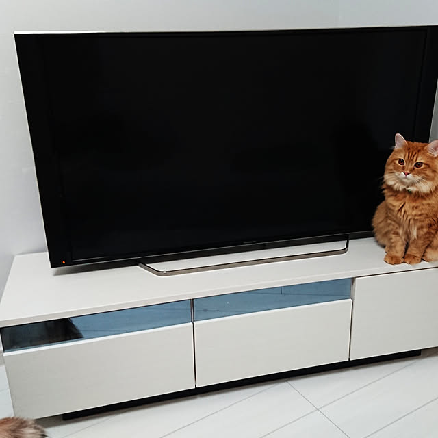 aoaoさんの実例写真