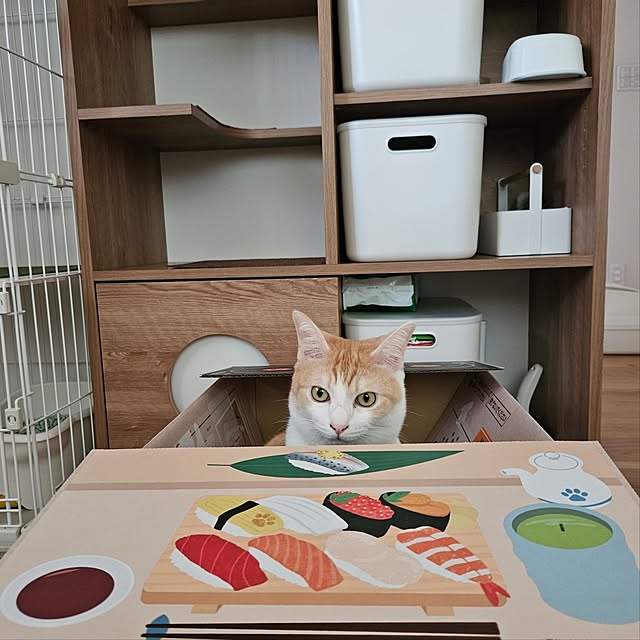 koyurizuさんの実例写真