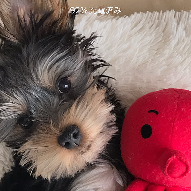 marikoさんの実例写真