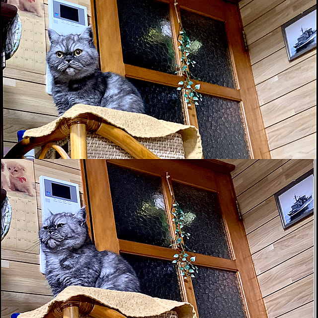 Marinさんの実例写真