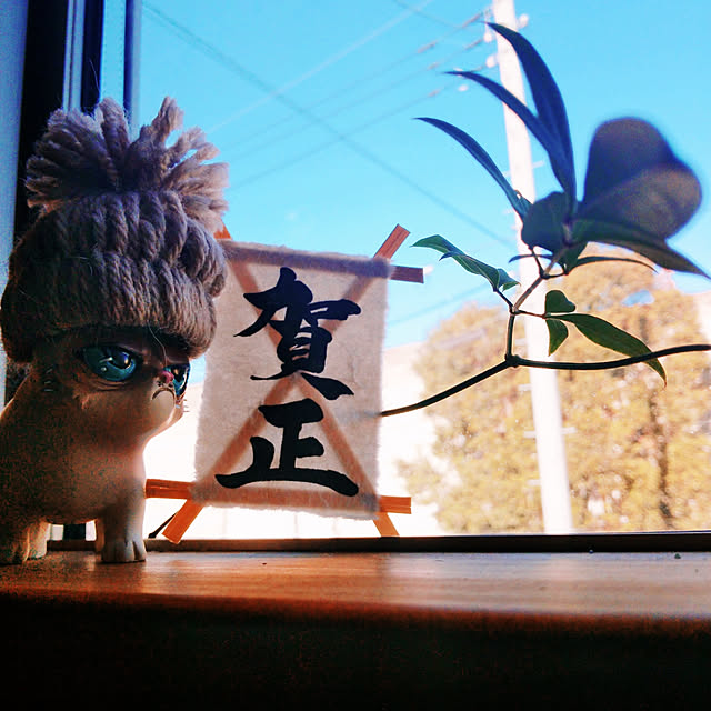 実例写真