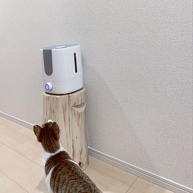 nodokaさんの実例写真