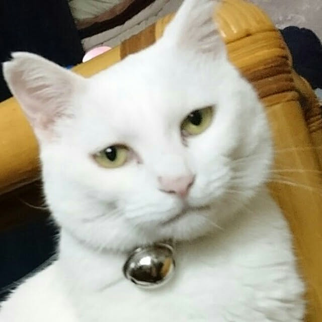 Sophie171922さんの実例写真