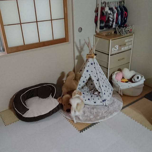 Akikoさんの実例写真