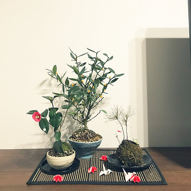 INOOPY97さんの実例写真