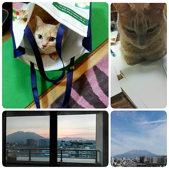 nana.maroさんの実例写真
