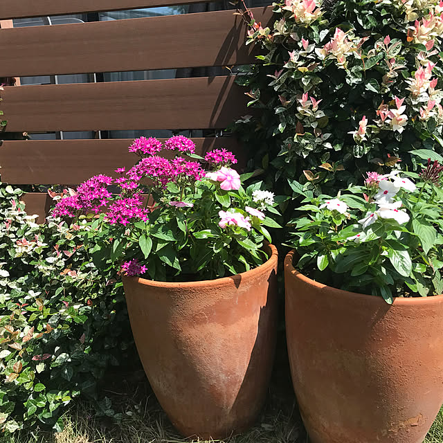 ronronさんの実例写真