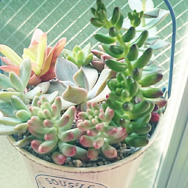 rookier05さんの実例写真