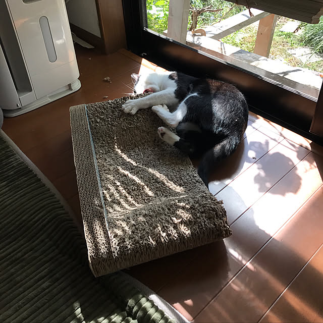 kazaneさんの実例写真