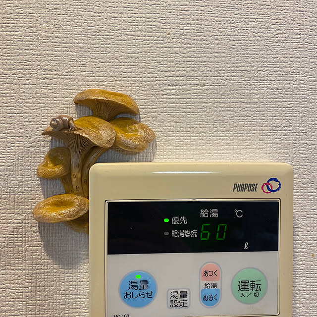 megumiさんの実例写真