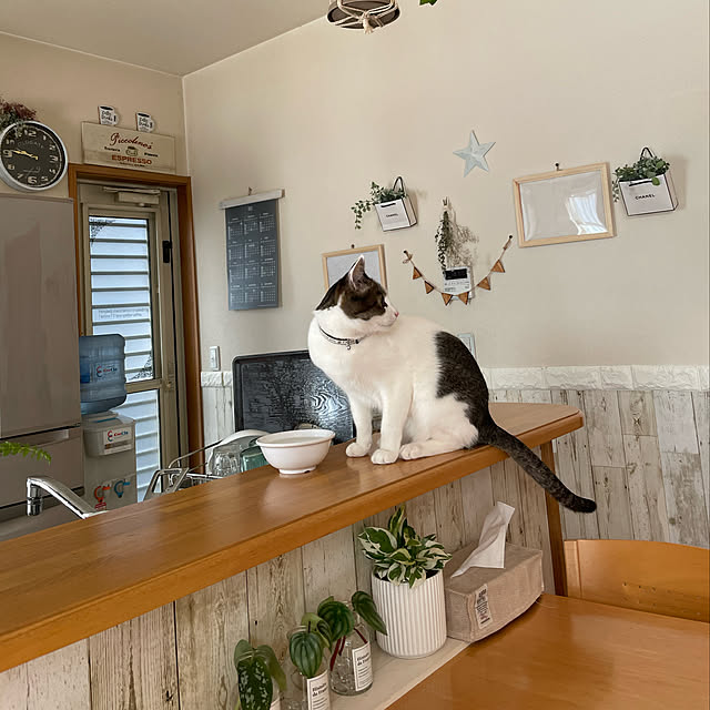 Akiさんの実例写真