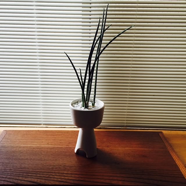 Hiroさんの実例写真