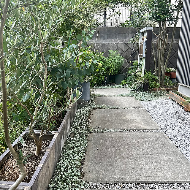 hatsugaさんの実例写真