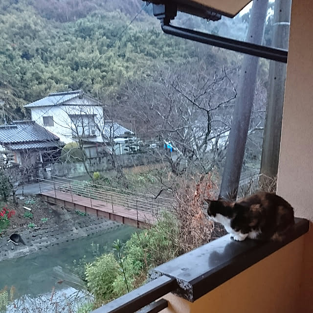 uchizukonyanさんの実例写真