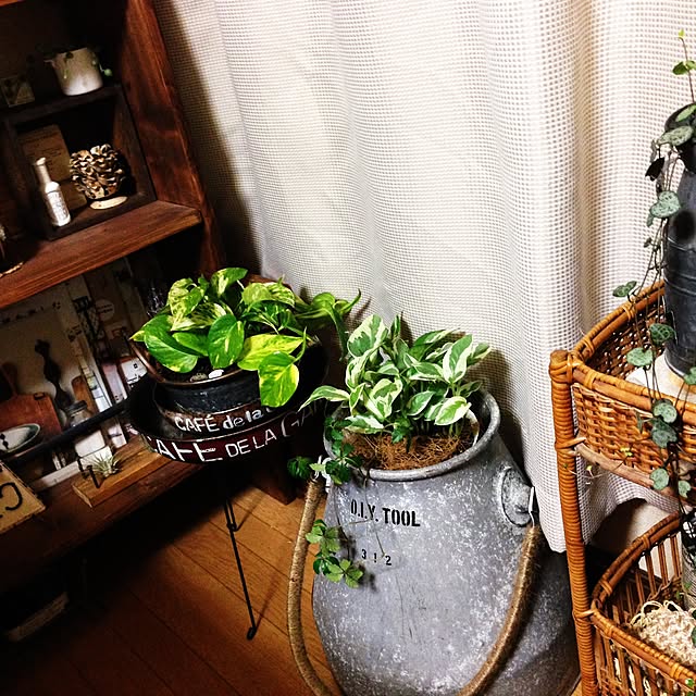 chiegonさんの実例写真