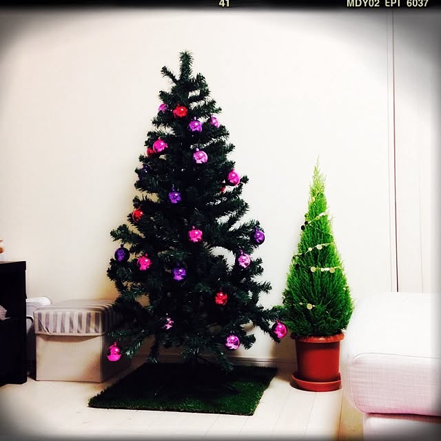 merryさんの実例写真