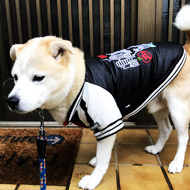 masu...さんの実例写真
