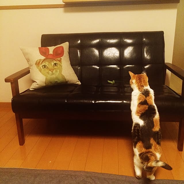 tacomozさんの実例写真