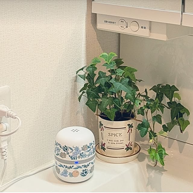 ku-garnet18さんの部屋