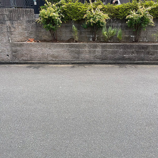 kikiさんの部屋