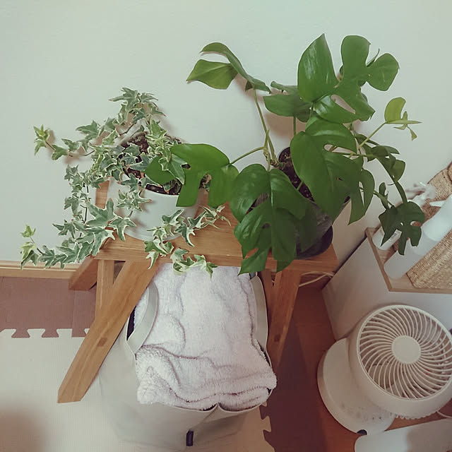 timeleepさんの実例写真
