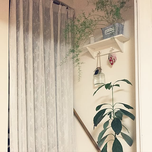 taekoさんの実例写真