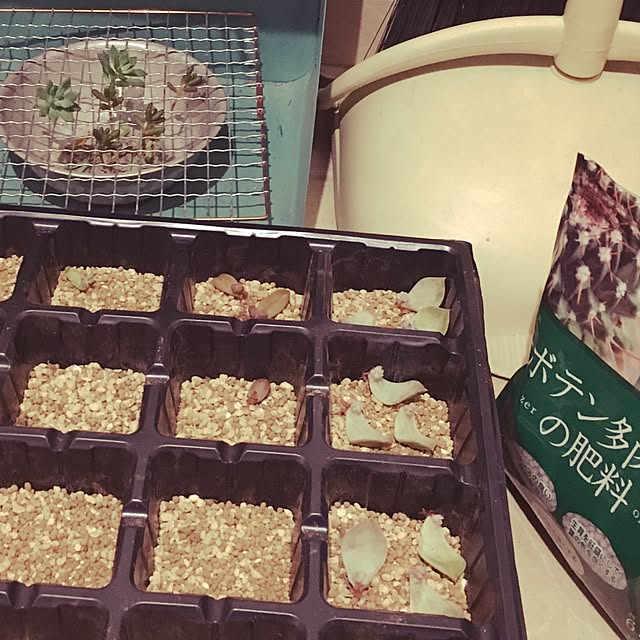mammyさんの実例写真