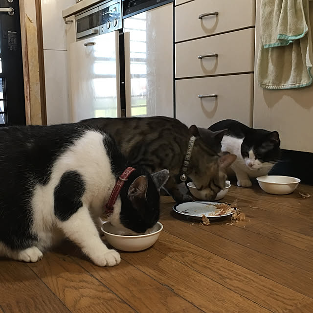 kmakkyiさんの実例写真