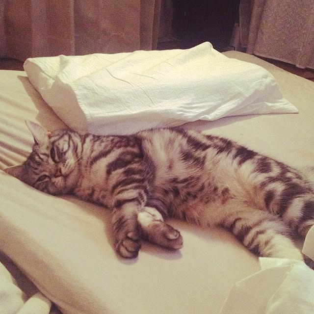yukitaさんの実例写真