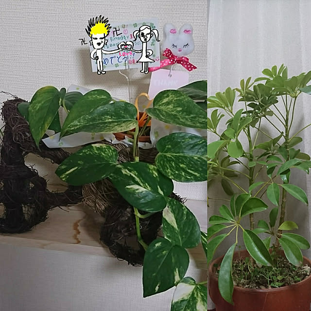 yutch1207さんの実例写真