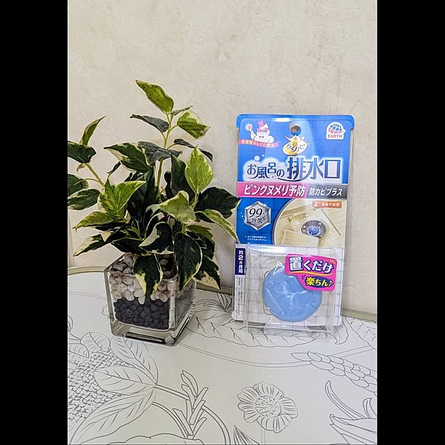 aromameさんの実例写真