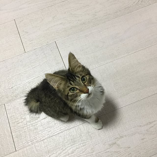 yuchiさんの実例写真