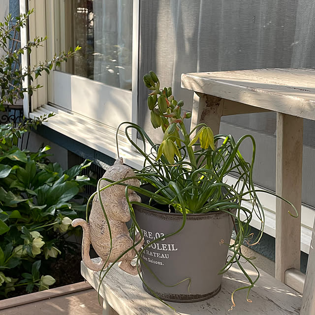 nobikoさんの部屋