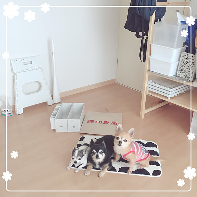 Emiさんの実例写真