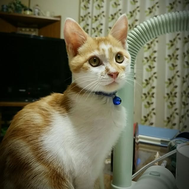 TUNさんの実例写真
