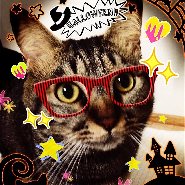 mikanさんの実例写真