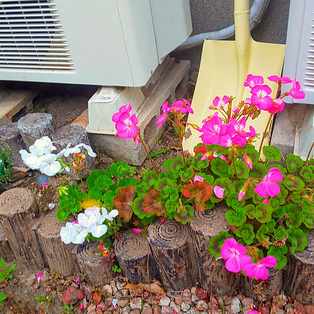 oseroさんの実例写真
