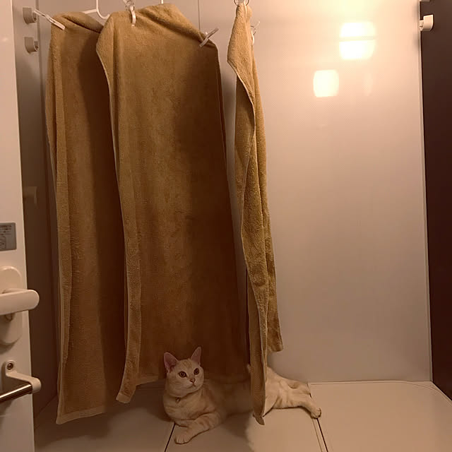 hiyupan88さんの実例写真
