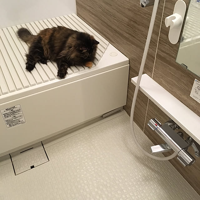 mikomaruさんの実例写真