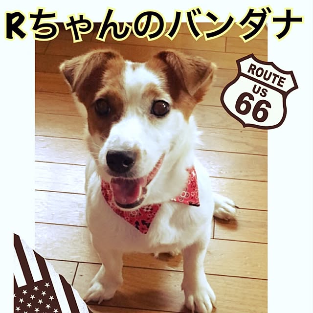 B.Bさんの実例写真
