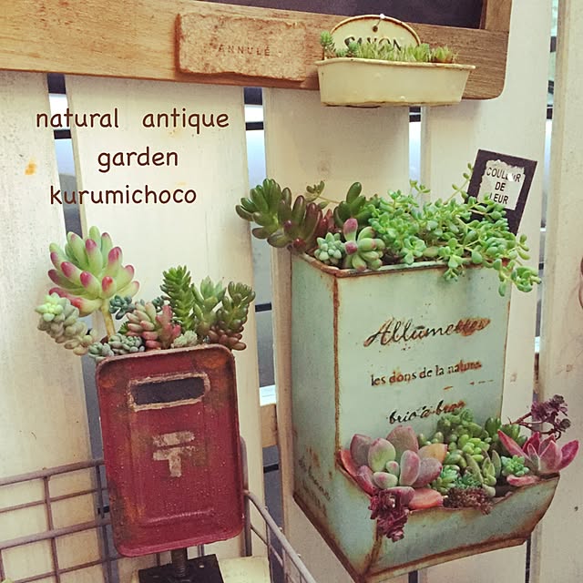 kurumichocoさんの実例写真